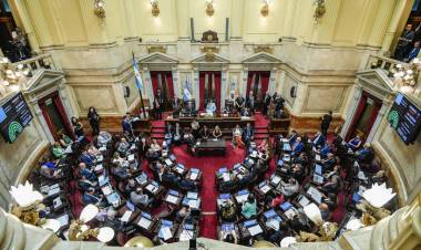 SENADO: EL GOBIERNO APURA LAS NEGOCIACIONES PARA SUSPENDER LAS PASO ANTES QUE TERMINEN LAS EXTRAORDINARIAS