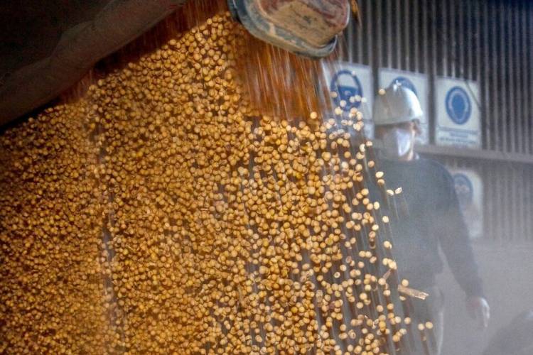 UN PARO QUE PEGA EN EL CORAZÓN DE LA ECONOMÍA