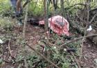 LAGUNA LIMPIA:  DETIENEN A TRES PERSONAS POR SUPUESTO ABIGEATO