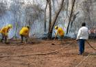 MÁS DE 50.000 HECTÁREAS AFECTADAS POR INCENDIOS FORESTALES EN EL NORTE DEL CHACO PARAGUAYO