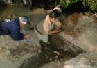 TRES ISLETAS: EL GOBIERNO PROVINCIAL CONCLUYÓ LAS OBRAS DE PROVISIÓN DE AGUA PARA 150 FAMILIAS DE LA VILLA RURAL CARLOS PALACIOS