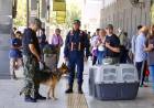 TERMINAL DE ÓMNIBUS RESISTENCIA: EL GOBIERNO PROVINCIAL LANZÓ EL OPERATIVO "RECAMBIO TURÍSTICO- CONTROL INTEGRAL DE PASAJEROS” 