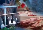 CARNE DE BURRO FRENTE A PRECIOS SIDERALES
