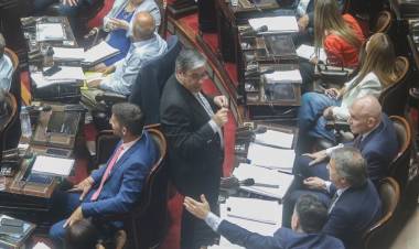  QUÉ PASÓ EN EL RECINTO Y POR QUÉ LA LEY ÓMNIBUS VUELVE A COMISIÓN