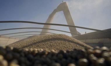 REACCIÓN EMPRESARIA POR LA CAÍDA DE LA LEY