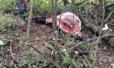 LAGUNA LIMPIA:  DETIENEN A TRES PERSONAS POR SUPUESTO ABIGEATO