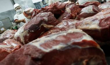 TRABAS PARA EXPORTAR