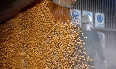 UN PARO QUE PEGA EN EL CORAZÓN DE LA ECONOMÍA