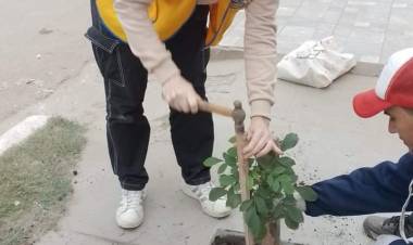 PRIMER CORTE DE VEREDA PARA PLANTAR UN ARBOL EN VILLA ÁNGELA