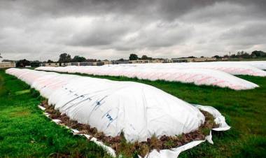 CAPUTO, DE RODILLAS ANTE EL LOBBY DEL CAMPO