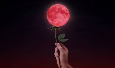 SOSTENIENDO EL ESPECTÁCULO DE LA VIDA