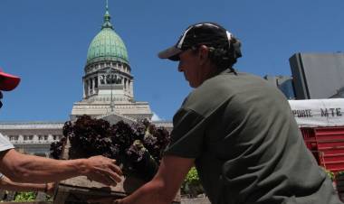 "NO HAY NINGUNA PERSPECTIVA DE GENERAR EMPLEO NI REGISTRAR AL TRABAJO DE LA ECONOMÍA INFORMAL"