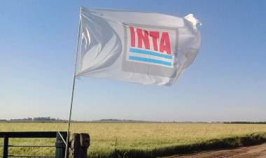 EL INTA RESPALDÓ EL PROCESO DE ACTUALIZACIÓN DEL OTBN