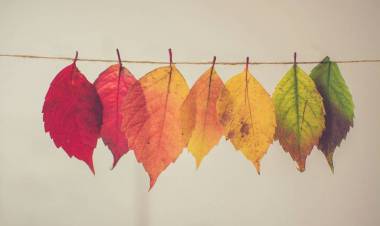 EL CRISTIANO ES UN AGENTE DE TRANSFORMACIÓN