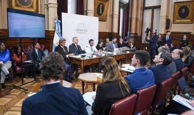 OTRO REVÉS POLÍTICO PARA MILEI EN EL SENADO