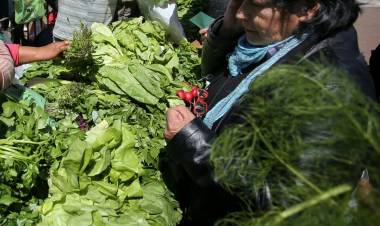 LOS ALIMENTOS SUBEN UN 33 POR CIENTO EN JULIO