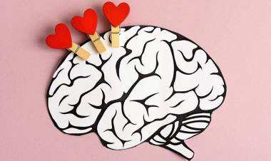 UN ESTUDIO DEVELA DÓNDE RESIDE EL AMOR EN EL CEREBRO Y CÓMO SE ACTIVA