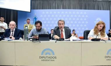 LA OPOSICIÓN CONSIGUIÓ DICTAMEN DE MAYORÍA PARA LIMITAR LOS DNU DE MILEI