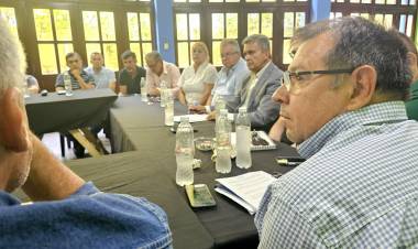 PRODUCCIÓN JUNTO AL SECTOR FORESTAL EN CASTELLI