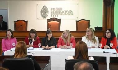 LA LEGISLATURA RECONOCIÓ A LAS INTENDENTES  CHAQUEÑAS EN EL MARCO DE UN NUEVO ANIVERSARIO DEL RETORNO DE LA DEMOCRACIA