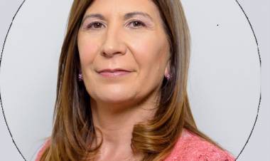 DÍA DEL INODORO: HAY QUE ECHAR A DIPUTADOS Y SENADORES CORRUPTOS COMO A QUIENES PRESENTAN ESTUPIDECES EN LAS CÁMARAS LEGISLATIVAS