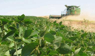 OTRO CEPO CONTRA EL EFECTO DOMINÓ