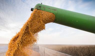 MAÍZ, SOJA Y TRIGO, CON PRECIOS EN BAJA