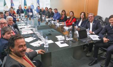 BS. AS: LA VICEGOBERNADORA SCHNEIDER REPRESENTÓ AL CHACO EN LA REUNIÓN POR LA REASIGNACIÓN DE FONDOS A LAS PROVINCIAS