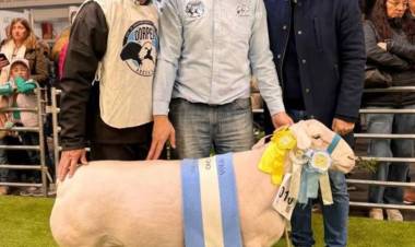CHACO CELEBRA UN NUEVO TRIUNFO GANADERO EN LA EXPO RURAL 2025