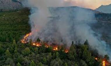 EL GOBIERNO DECLARÓ LA EMERGENCIA ÍGNEA Y ZONA DE DESASTRE EN CUATRO PROVINCIAS POR LOS INCENDIOS FORESTALES