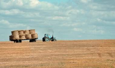 LAS RAZONES POR LAS QUE SE DESPLOMÓ EL INGRESO DE DÓLARES DEL CAMPO