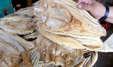 LLEGA SEMANA SANTA Y SE DISPARA EL PRECIO DEL PESCADO