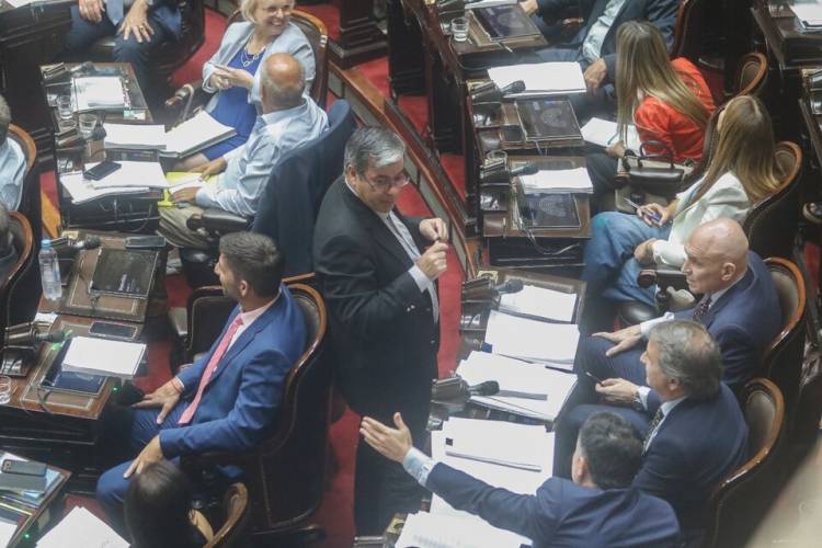  QUÉ PASÓ EN EL RECINTO Y POR QUÉ LA LEY ÓMNIBUS VUELVE A COMISIÓN