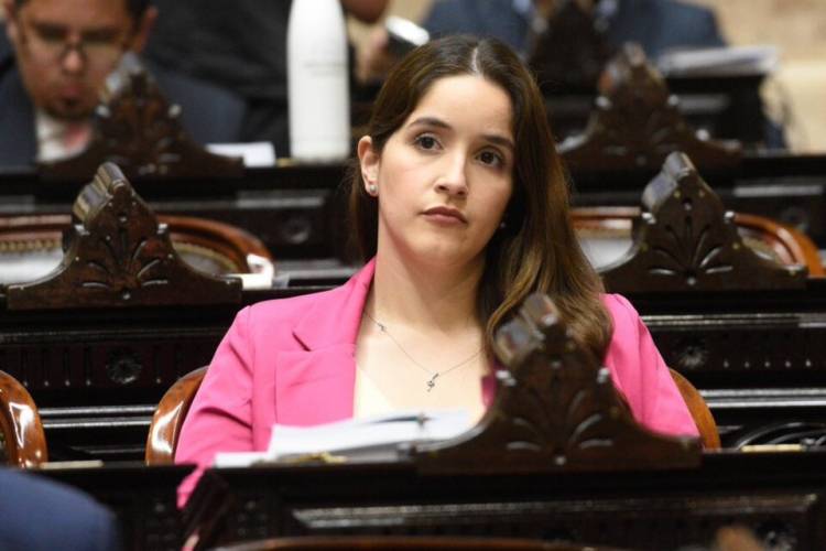 OTRO BOCHORNO LEGISLATIVO DE LA LIBERTAD AVANZA: EL PROYECTO FLOJO DE FIRMAS CONTRA EL ABORTO LEGAL