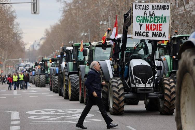 ESPAÑA: TRACTORAZO EN DEFENSA DEL CAMPO