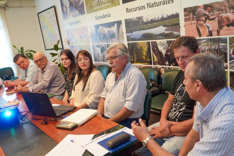 PROPONEN DECLARAR LA EMERGENCIA AGROPECUARIA EN 6 DEPARTAMENTOS DEL CHACO, ANTE LA OLA DE CALOR Y EL DÉFICIT HÍDRICO 
