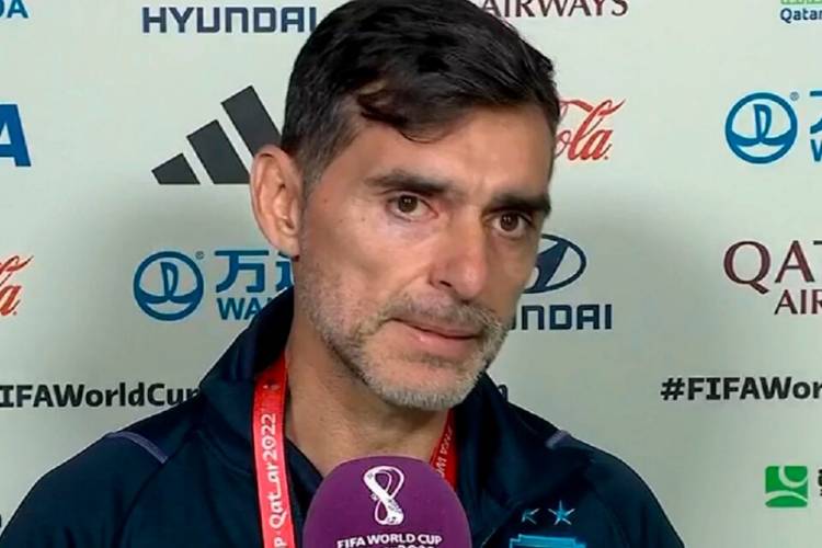 SELECCIÓN ARGENTINA: AYALA PIDIÓ "OTRA CLASE DE RIVALES" PARA LOS AMISTOSOS