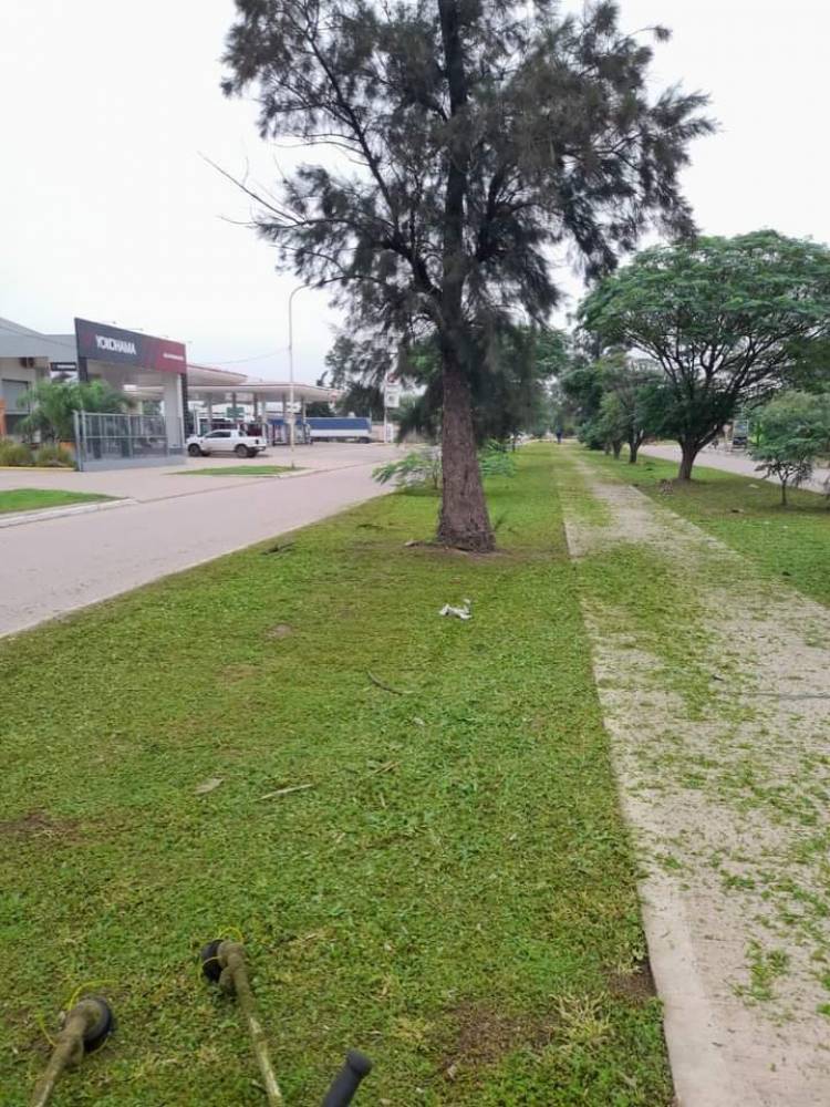 VILLA ÁNGELA: INTERVENCIÓN MUNICIPAL EN RECOLECCIÓN DE RAMAS, ILUMINACIÓN, BARRIDO Y CORTE DE PASTO