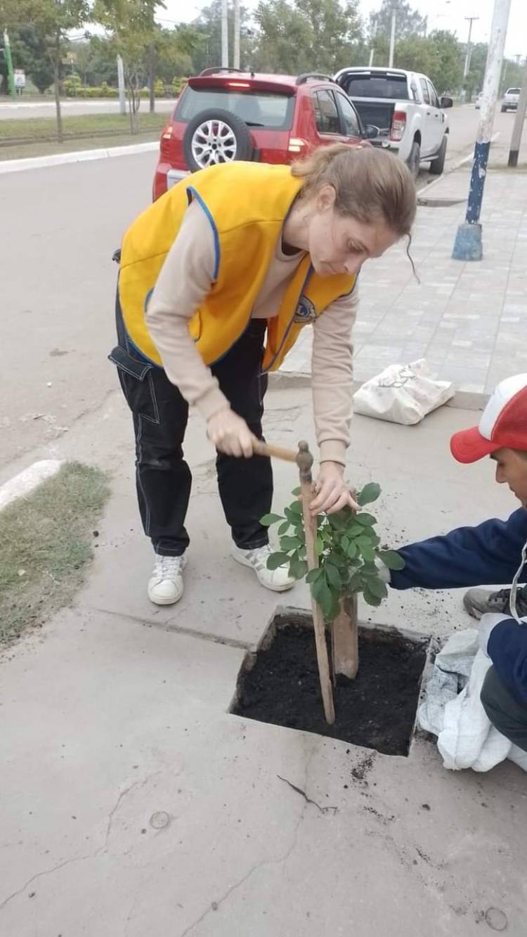PRIMER CORTE DE VEREDA PARA PLANTAR UN ARBOL EN VILLA ÁNGELA