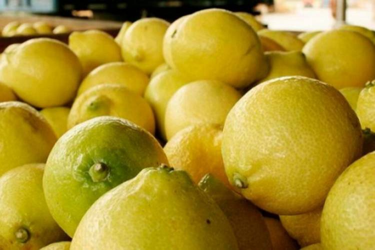 PRECIOS DEL CAMPO A LA GÓNDOLA