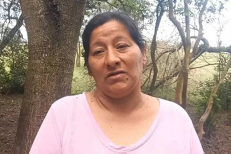 CASO LOAN: LA TÍA DEL NIÑO HABRÍA DECLARADO QUE LO ATROPELLARON