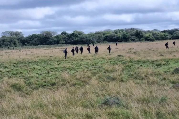 JUEZA DEL CASO LOAN: UNA COSA ES LA INVESTIGACIÓN PENAL, PERO LA BÚSQUEDA ES UNA TAREA DE LOS DEMÁS PODERES DEL ESTADO