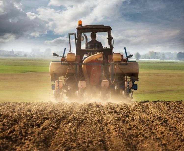 CARTA AL PRESIDENTE MILEI: EL CAMPO CHAQUEÑO DEFIENDE LA ACTUALIZACIÓN DEL ORDENAMIENTO TERRITORIAL DEL BOSQUE NATIVO