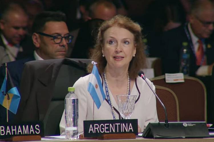 LA OEA RECHAZÓ UNA RESOLUCIÓN IMPULSADA POR MILEI Y LOS GOBIERNOS DERECHISTAS DE LA REGIÓN