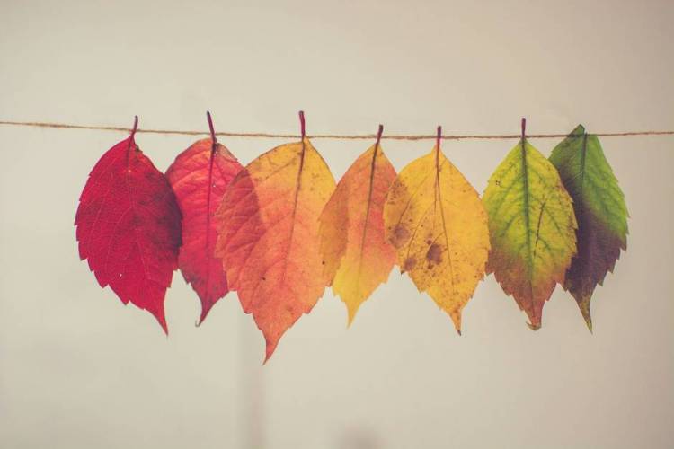 EL CRISTIANO ES UN AGENTE DE TRANSFORMACIÓN