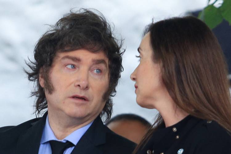 LOS CABOS SUELTOS QUE INCOMODAN A MILEI Y ENSANCHAN LA DISTANCIA CON VILLARRUEL