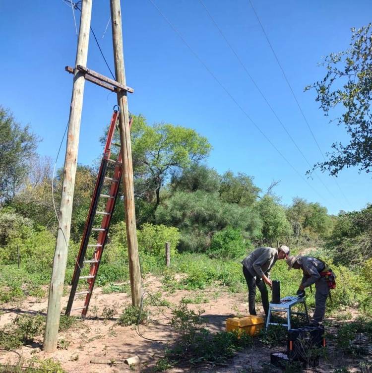 SOLUCION INMEDIATA POR PARTE DE ECOM AL CORTE DE FIBRA EN EL IMPENETRABLE