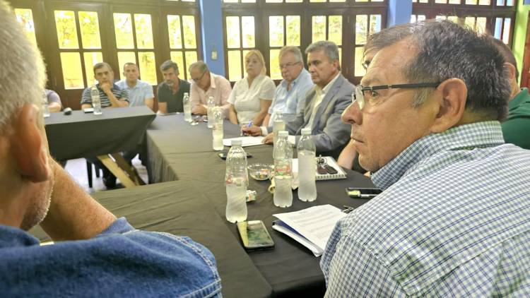 PRODUCCIÓN JUNTO AL SECTOR FORESTAL EN CASTELLI