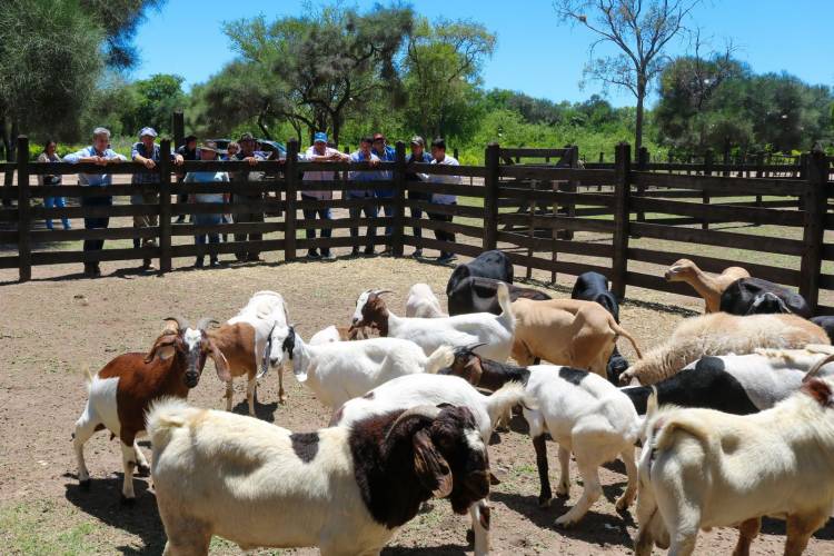EL ESPINILLO: EL GOBIERNO PROVINCIAL REACTIVA EL PROGANO CON GRAN PRESENCIA EN TERRITORIO