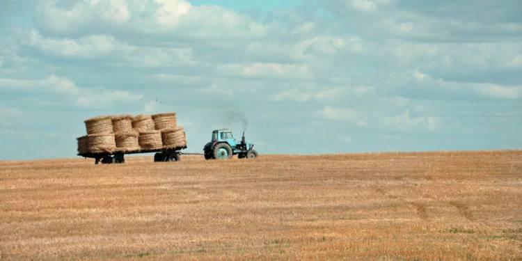 LAS RAZONES POR LAS QUE SE DESPLOMÓ EL INGRESO DE DÓLARES DEL CAMPO